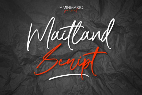 Enhance Your Editorial Design with Maitland Font