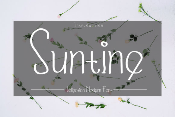 Enhance Your Web Design with Suntine Font