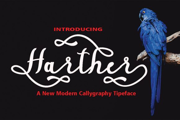 Harther: A Whimsical Handwritten Font for Eye-Catching Campaigns