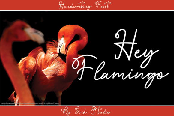Hey Flamingo: A Flowing Handwritten Font for Elegant Branding